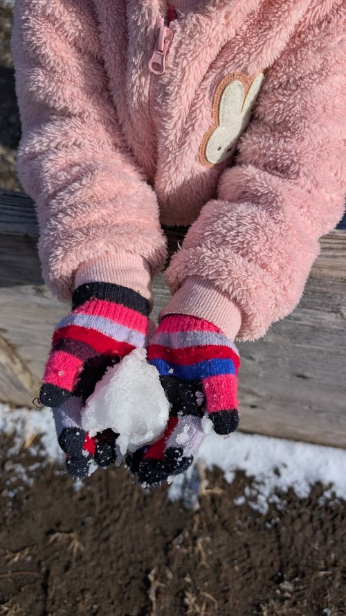 2026年キャンプ始め🎍爆風けん玉合宿🏕️ ひなもりオートキャンプ場 ファミリーキャンプ ヒゲキャンさんのキャンプブログ CAMPiii（キャンピー） -キャンプ専用SNS キャンプのすべてがここに集まる-