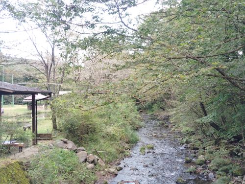 晴れた✨ 日光・まなかの森 キャンプ&スパリゾート ソロキャンプ 区画サイト しずさんのキャンプブログ CAMPiii(キャンピー) -キャンプ専用SNS キャンプのすべてがここに集まる-