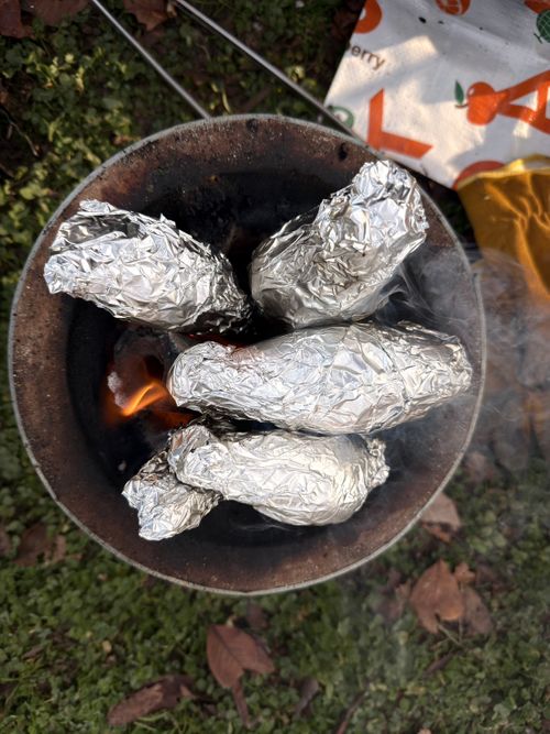 Vol.108 25/NO.27　いつもの場所にて‼️ 坂戸市 ソロキャンプ フリーサイト 🔥焚き火🔥さんのキャンプブログ CAMPiii（キャンピー） -キャンプ専用SNS キャンプのすべてがここに集まる-