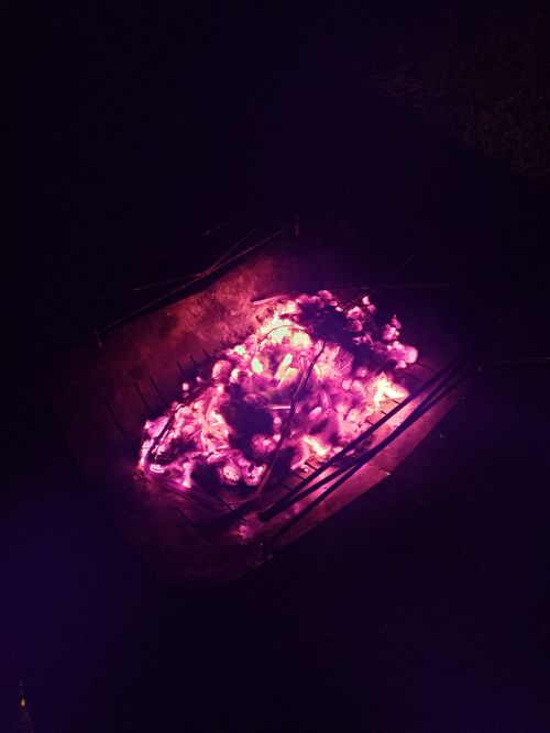 熊のいない県で2026年初キャンプ 〜お世話になったお礼の挨拶までは愉しいキャンプだった TAKIVILLAGE ソロキャンプ グループキャンプ フリーサイト オートサイト Honey Bさんのキャンプブログ CAMPiii（キャンピー） -キャンプ専用SNS キャンプのすべてがここに集まる-