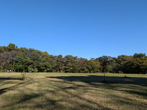 青空最高！ 那須たんぽぽ村キャンプ広場 ソロキャンプ フリーサイト 俺の酒場は野にあるさんのキャンプブログ CAMPiii（キャンピー） -キャンプ専用SNS キャンプのすべてがここに集まる-