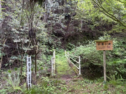 寺尾でゆっくりリラックス てゆりキャンプ場 グループキャンプ 区画サイト だっちーさんのキャンプブログ CAMPiii（キャンピー） -キャンプ専用SNS キャンプのすべてがここに集まる-