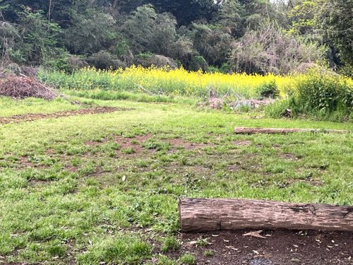横浜でキャンプ🏕️ 自然館泉ベリーキャンプ場 ソロキャンプ 区画サイト よスさんのキャンプブログ CAMPiii（キャンピー） -キャンプ専用SNS キャンプのすべてがここに集まる-