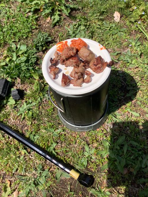 Vol.114 26/NO.04 お花見しながらお肉焼くぅ‼️ 坂戸市 ソロキャンプ フリーサイト 🔥焚き火🔥さんのキャンプブログ CAMPiii（キャンピー） -キャンプ専用SNS キャンプのすべてがここに集まる-