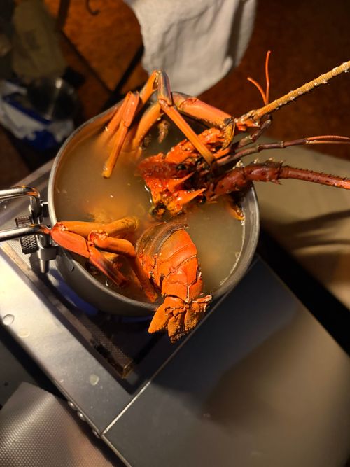 年越しキャンプ！⛺️ キャンプ マナビス 海サイト グループキャンプ 区画サイト オートサイト ぺちゃさんのキャンプブログ CAMPiii（キャンピー） -キャンプ専用SNS キャンプのすべてがここに集まる-