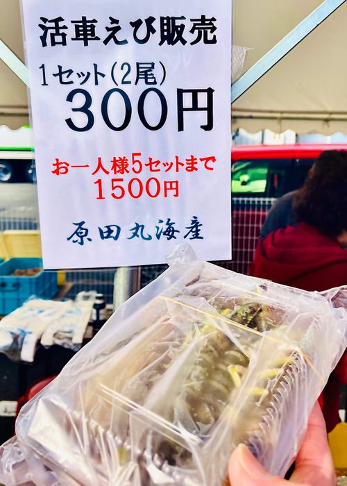 秋穂の名物《車海老を喰らう》おじうさグルキャン△ in 美濃ケ浜海浜公園キャンプ場 〜 CAMP NO.160 美濃ケ浜海浜広場 ソロキャンプ ファミリーキャンプ グループキャンプ フリーサイト おじキャン△さんのキャンプブログ CAMPiii（キャンピー） -キャンプ専用SNS キャンプのすべてがここに集まる-