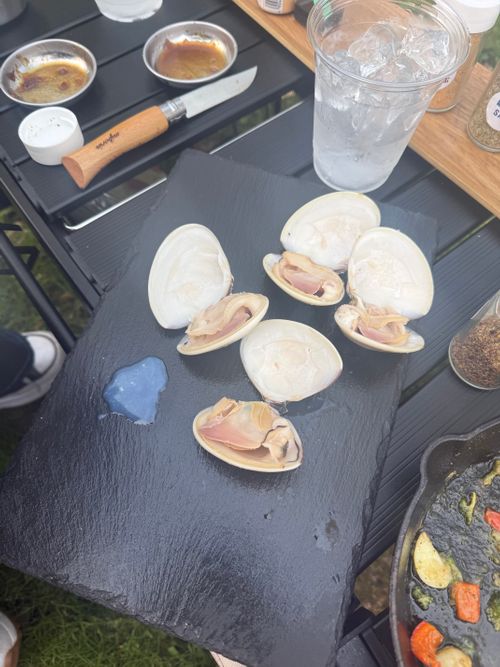 テント泊は久しぶり😁 山鳥の森オートキャンプ場 ファミリーキャンプ 区画サイト オートサイト moreAiさんのキャンプブログ CAMPiii（キャンピー） -キャンプ専用SNS キャンプのすべてがここに集まる-