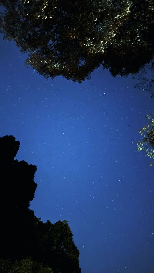 1ヶ月連続 週末キャンプ達成🏕 市ノ瀬ベース ファミリーキャンプ 区画サイト オートサイト はるかさんのキャンプブログ CAMPiii(キャンピー) -キャンプ専用SNS キャンプのすべてがここに集まる-
