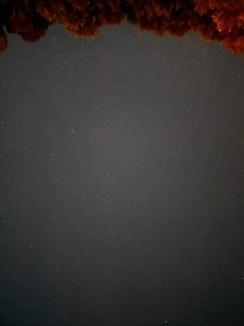 おじさん達リベンジ 有田BLUEキャンプ場 グループキャンプ フリーサイト オートサイト ぼちさんのキャンプブログ CAMPiii（キャンピー） -キャンプ専用SNS キャンプのすべてがここに集まる-