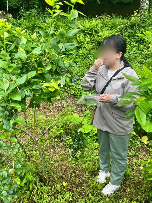 雨の中の貸切グルキャン the veg out ソロキャンプ グループキャンプ オートサイト 区画サイト ちあさんのキャンプブログ CAMPiii（キャンピー） -キャンプ専用SNS キャンプのすべてがここに集まる-