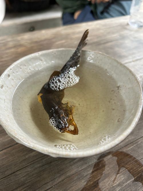満身創痍のつづき🥹 上高地森のリゾート小梨 ソロキャンプ グループキャンプ フリーサイト Genさんのキャンプブログ CAMPiii（キャンピー） -キャンプ専用SNS キャンプのすべてがここに集まる-