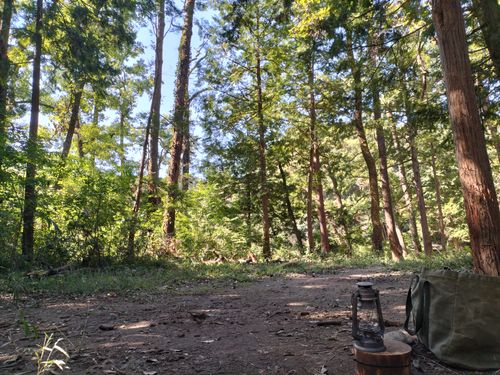 １０月キャンプ⛺️スタート😁 月川荘キャンプ場 林間サイト ソロキャンプ フリーサイト ぼっちオヤジさんのキャンプブログ CAMPiii（キャンピー） -キャンプ専用SNS キャンプのすべてがここに集まる-