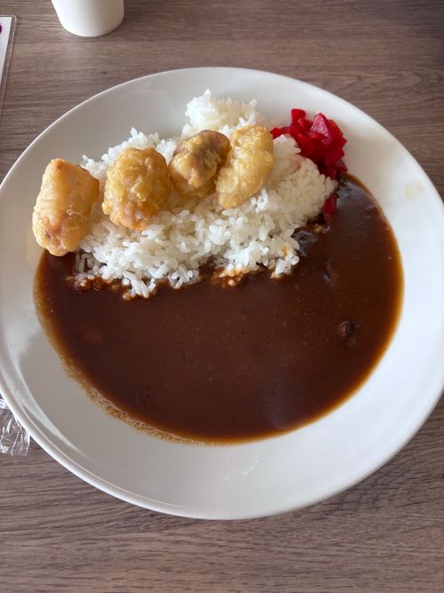 2025年17回目ラストは、うさぎキャン🐇 大久野島キャンプ場 ファミリーキャンプ 区画サイト わいげさんのキャンプブログ CAMPiii（キャンピー） -キャンプ専用SNS キャンプのすべてがここに集まる-