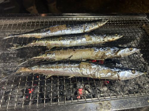 アルコール無しキャンプ!? 近ヶ坂キャンプ場 グループキャンプ 区画サイト KOBApapaさんのキャンプブログ CAMPiii(キャンピー) -キャンプ専用SNS キャンプのすべてがここに集まる-