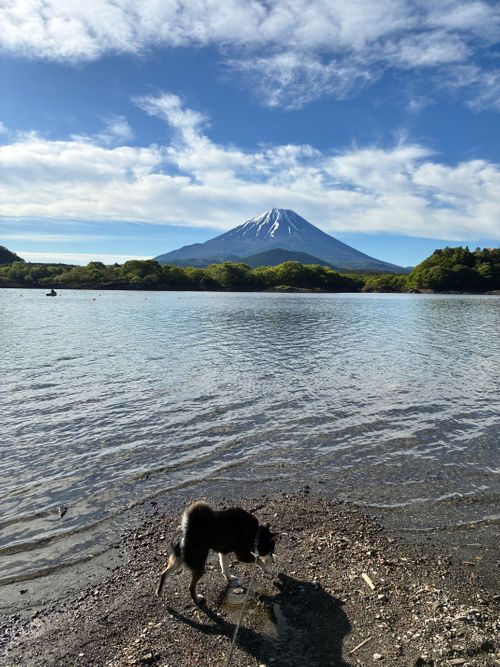 GW働いたので明けてから3泊 精進湖キャンピングコテージ ソロキャンプ フリーサイト オートサイト アクセルさんのキャンプブログ CAMPiii（キャンピー） -キャンプ専用SNS キャンプのすべてがここに集まる-