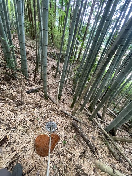 山買いました🏕️ 伊予石城駅 ソロキャンプ フリーサイト 空飛ぶくじらさんのキャンプブログ CAMPiii（キャンピー） -キャンプ専用SNS キャンプのすべてがここに集まる-