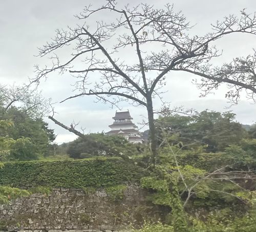 毎年恒例にしてるキャンプ場へ 会津高原INAキャンプビレッジ グループキャンプ 区画サイト まっつんさんのキャンプブログ CAMPiii(キャンピー) -キャンプ専用SNS キャンプのすべてがここに集まる-