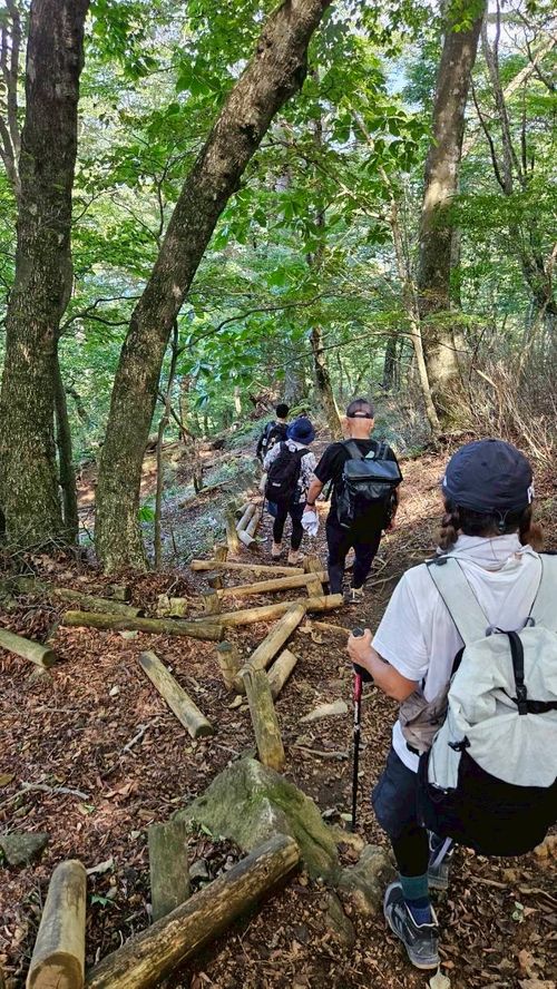 本栖湖supキャンプ 本栖湖いこいの森キャンプ場 グループキャンプ 区画サイト atelierさんのキャンプブログ CAMPiii（キャンピー） -キャンプ専用SNS キャンプのすべてがここに集まる-