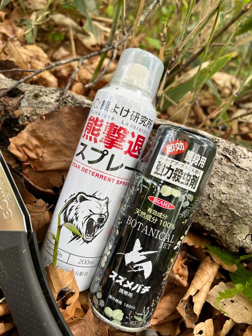 帰ってきたぞー ソロキャンプ YOTIさんのキャンプブログ CAMPiii（キャンピー） -キャンプ専用SNS キャンプのすべてがここに集まる-