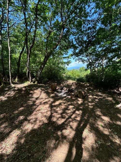 3週連続ソロキャンプ🏕️ CAMP BEAN ソロキャンプ 区画サイト Genさんのキャンプブログ CAMPiii（キャンピー） -キャンプ専用SNS キャンプのすべてがここに集まる-