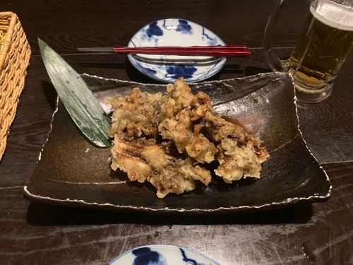 草津温泉で車中泊 湯畑観光駐車場 ファミリーキャンプ キャンピングカー ヒロアキングさんのキャンプブログ CAMPiii（キャンピー） -キャンプ専用SNS キャンプのすべてがここに集まる-