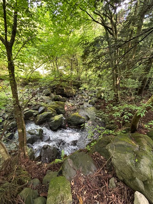 新緑キャンプ🏕 椿荘オートキャンプ場 ソロキャンプ 区画サイト Genさんのキャンプブログ CAMPiii（キャンピー） -キャンプ専用SNS キャンプのすべてがここに集まる-