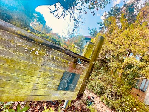 ハロウィン🎃おじおばうさキャン△ in ガーデナーズキャンプ場 〜 CAMP NO.159 周南市 ファミリーキャンプ グループキャンプ 区画サイト おじキャン△さんのキャンプブログ CAMPiii(キャンピー) -キャンプ専用SNS キャンプのすべてがここに集まる-