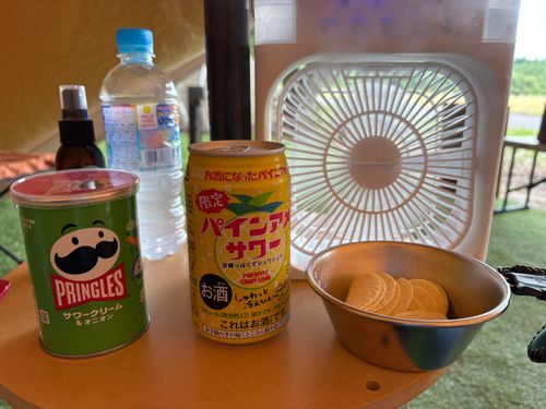 旅する古本屋〜猫のお告げは樹の下で〜 HOSOMINE BASE 細峯ベース ソロキャンプ 区画サイト ぱぱちょさんのキャンプブログ CAMPiii(キャンピー) -キャンプ専用SNS キャンプのすべてがここに集まる-