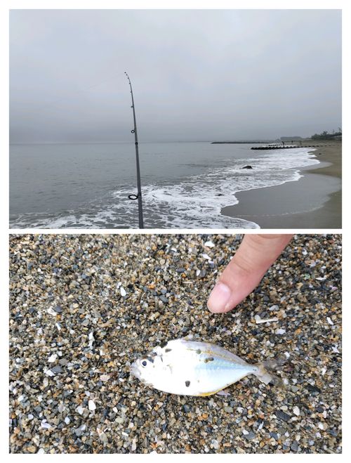 ソロで連泊釣りキャン 大淀西海岸ムーンビーチキャンプ場 ソロキャンプ フリーサイト オートサイト たかたかぽんたさんのキャンプブログ CAMPiii(キャンピー) -キャンプ専用SNS キャンプのすべてがここに集まる-