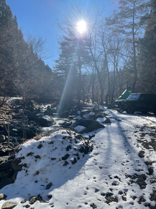 2026キャンプ部初め 道志の森キャンプ場 グループキャンプ フリーサイト もるがんさんのキャンプブログ CAMPiii（キャンピー） -キャンプ専用SNS キャンプのすべてがここに集まる-