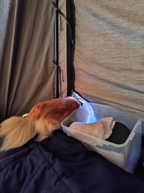 CAMPiii（キャンピー） けい＠福島県さんのキャンプブログ 有休取ったけど午前中は仕事してからの完ソロ FOME BASE