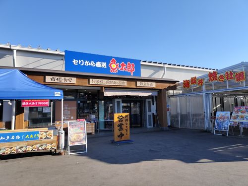 2026年キャンプ初めは浜キャン 浜オートキャンプ場 ソロキャンプ グループキャンプ 区画サイト たかたかぽんたさんのキャンプブログ CAMPiii（キャンピー） -キャンプ専用SNS キャンプのすべてがここに集まる-