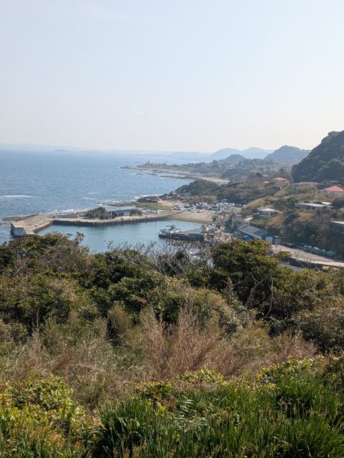 さらば愛しきハスラー お台場 海浜庭園 グループキャンプ フリーサイト hachi329さんのキャンプブログ CAMPiii（キャンピー） -キャンプ専用SNS キャンプのすべてがここに集まる-