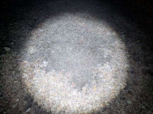 やっぱりここなのよ 愛川町 ソロキャンプ フリーサイト ひげさんさんのキャンプブログ CAMPiii（キャンピー） -キャンプ専用SNS キャンプのすべてがここに集まる-