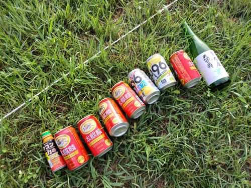 能登復興応援観光満喫キャンプ2泊目 九十九湾園地キャンプ場(ツクモワンエンチキャンプジョウ) ソロキャンプ グループキャンプ 区画サイト オートサイト たかたかぽんたさんのキャンプブログ CAMPiii（キャンピー） -キャンプ専用SNS キャンプのすべてがここに集まる-
