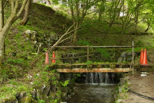 自然の魅力があふれっぱ 揖斐高原貝月リゾート ファミリーキャンプ オートサイト 区画サイト さおりさんのキャンプブログ CAMPiii（キャンピー） -キャンプ専用SNS キャンプのすべてがここに集まる-