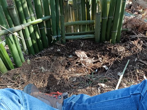 キャンプというよりも、、、焚火をしに。 Freedom ソロキャンプ フリーサイト Kazu Aさんのキャンプブログ CAMPiii（キャンピー） -キャンプ専用SNS キャンプのすべてがここに集まる-