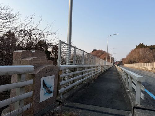 みちのく潮風トレイル３区間目キャンプ 神割崎キャンプ場 ソロキャンプ フリーサイト まっつんさんのキャンプブログ CAMPiii（キャンピー） -キャンプ専用SNS キャンプのすべてがここに集まる-