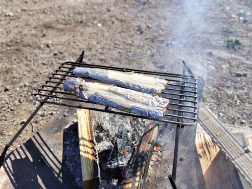 熊を避けて海キャン 浜オートキャンプ場 ソロキャンプ グループキャンプ 区画サイト オートサイト たかたかぽんたさんのキャンプブログ CAMPiii（キャンピー） -キャンプ専用SNS キャンプのすべてがここに集まる-