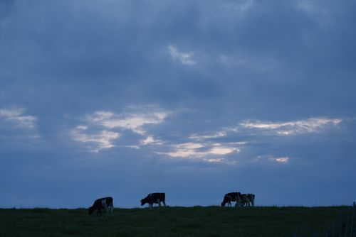 北海道初夏の旅 ENJOY THE OUTDOORSさんのキャンプブログ CAMPiii（キャンピー） -キャンプ専用SNS キャンプのすべてがここに集まる-