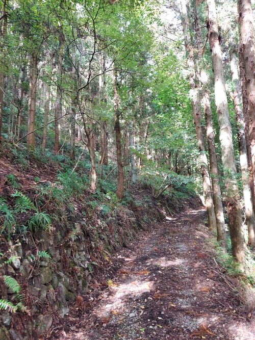 酔っぱらって夜なにしてたのかよくわからないキャンプ⛺ One and…Nanmoku Another BASE ソロキャンプ 区画サイト ひろ16さんのキャンプブログ CAMPiii（キャンピー） -キャンプ専用SNS キャンプのすべてがここに集まる-