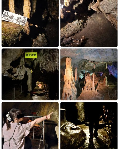 【前編】夏キャンプは『涼』がテーマ💙2泊3日の｢ゆるっと｣キャンプ🏕️ アウトドアヴィレッジ三春 さくら湖キャンプサイト Oniyomeさんのキャンプブログ CAMPiii（キャンピー） -キャンプ専用SNS キャンプのすべてがここに集まる-