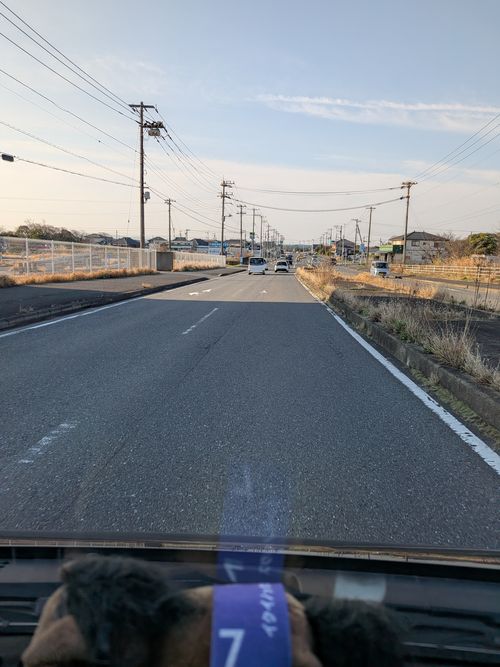 ハスラーが気になる(標高 約150m)(RVパーク(区画、電源付) 3000円)) RVパーク 七里川 ソロキャンプ グループキャンプ オートサイト 区画サイト IZUIZUさんのキャンプブログ CAMPiii（キャンピー） -キャンプ専用SNS キャンプのすべてがここに集まる-