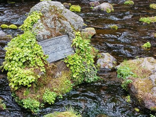 北海道の旨い!を食べるC△mp旅’2025(3 of 4) 北海道 ファミリーキャンプ キャンピングカー vios outdoor'sさんのキャンプブログ CAMPiii(キャンピー) -キャンプ専用SNS キャンプのすべてがここに集まる-