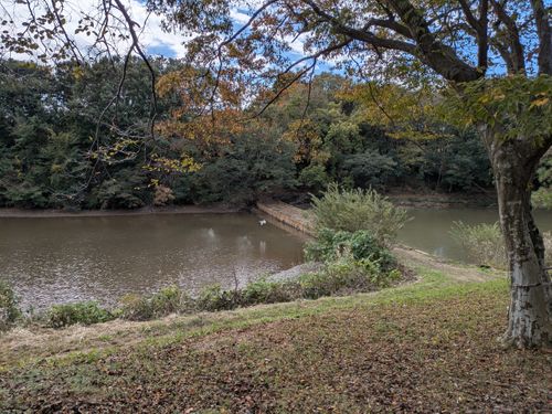 一応ソロ野営？！ 蛇沼公園 ソロキャンプ フリーサイト geenさんのキャンプブログ CAMPiii（キャンピー） -キャンプ専用SNS キャンプのすべてがここに集まる-