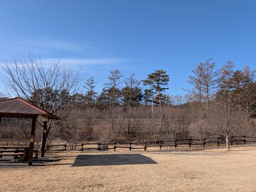 CAMPiii（キャンピー） 俺の酒場は野にあるさんのキャンプブログ イワナの唐揚げが食いたくて いわなの郷キャンプ場
