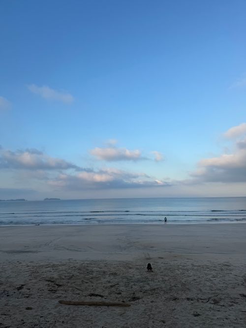 夕陽と花火と石像🗿と コースタルパークリトリート /Coastal Park RETREAT – RV & Campervan Site / ファミリーキャンプ グループキャンプ 区画サイト オートサイト moreAiさんのキャンプブログ CAMPiii（キャンピー） -キャンプ専用SNS キャンプのすべてがここに集まる-