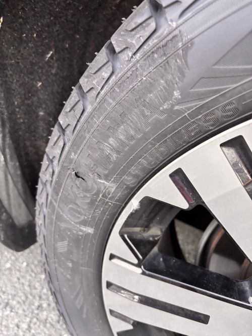 2025締めくくり。 ルポの森 ソロキャンプ 区画サイト あやぴーさんのキャンプブログ CAMPiii（キャンピー） -キャンプ専用SNS キャンプのすべてがここに集まる-