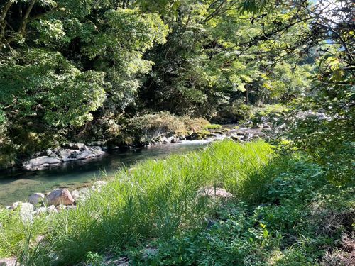 あー夏休みー🌻♬ 徳島県 グループキャンプ フリーサイト Camp 'n'g  Roll♪🏁さんのキャンプブログ CAMPiii（キャンピー） -キャンプ専用SNS キャンプのすべてがここに集まる-