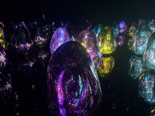 京の紅葉🍁 京都府 ファミリーキャンプ フリーサイト camping roll♪さんのキャンプブログ CAMPiii（キャンピー） -キャンプ専用SNS キャンプのすべてがここに集まる-